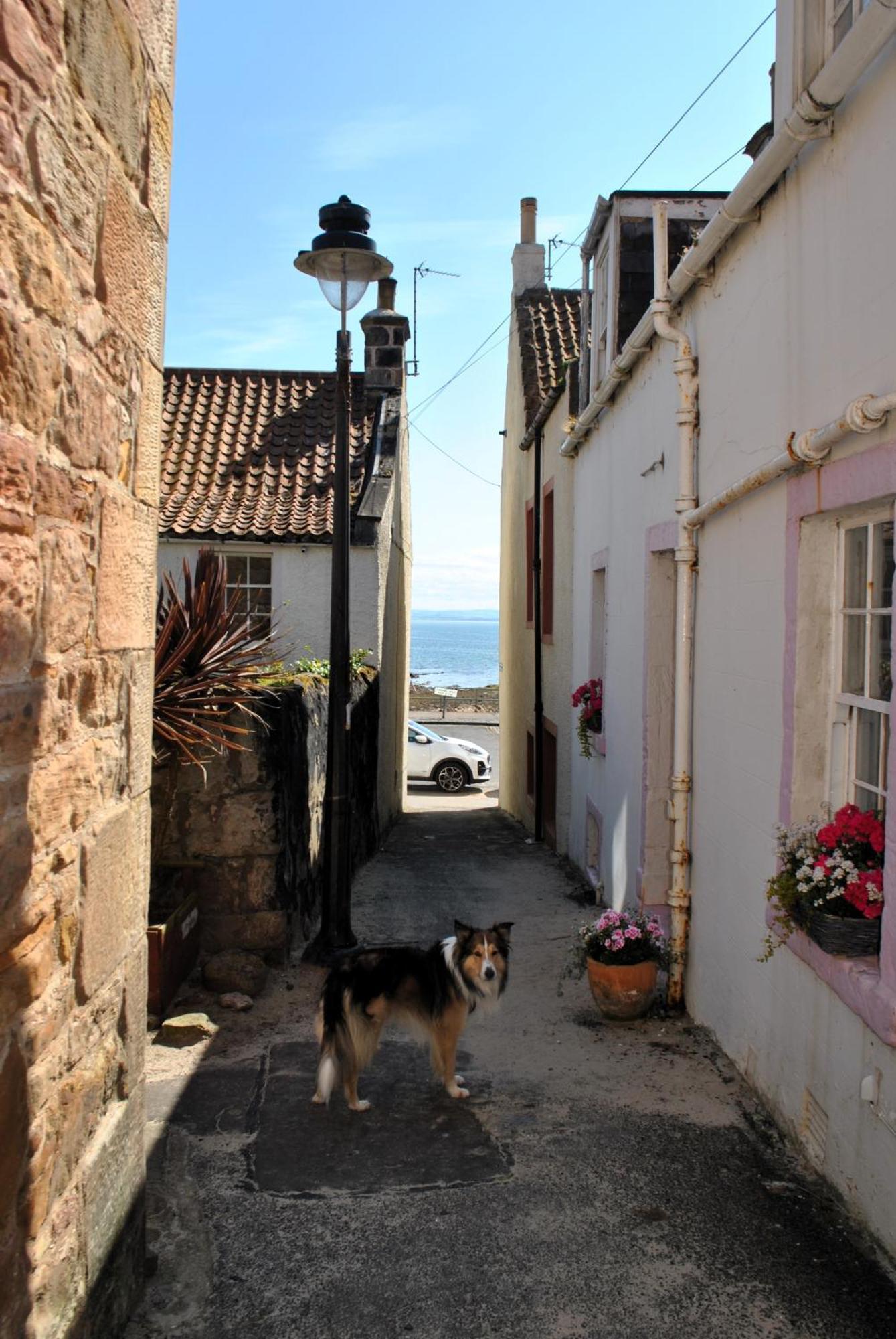 Dookers Nook- Quirky Coastal Cottage Pittenweem Exterior foto
